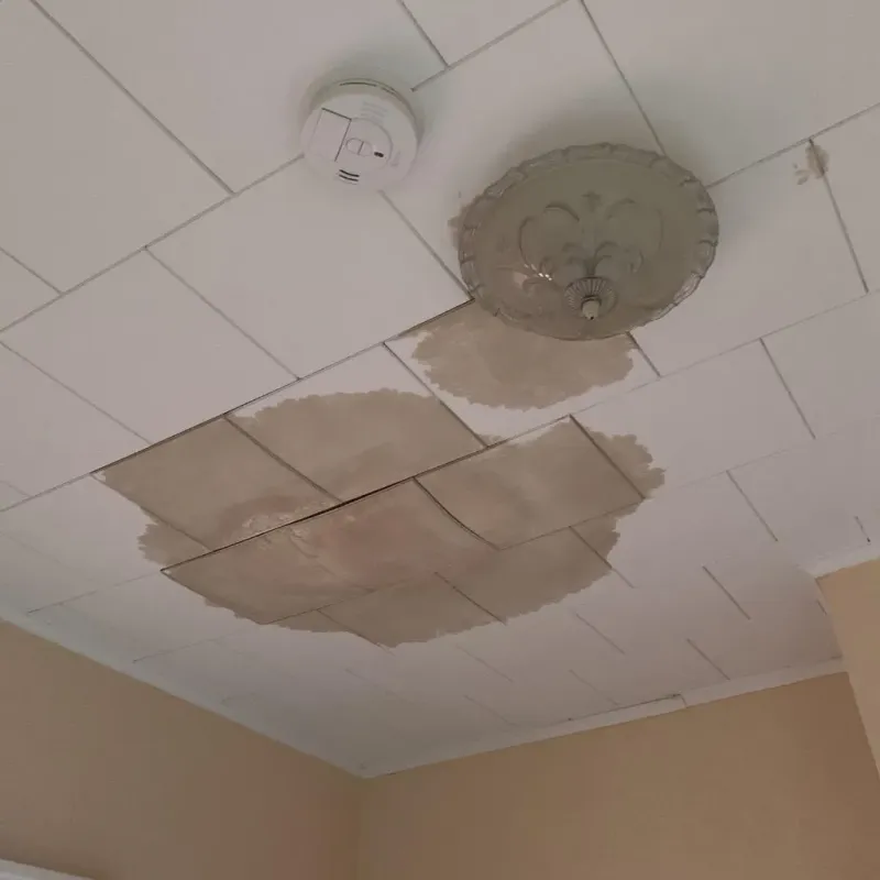 Ceiling Water Damage Repair in Kane, PA