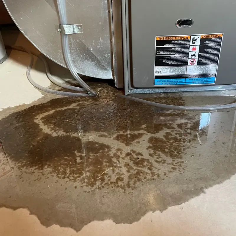 Pipe Burst and Leak Restoration in Kane, PA