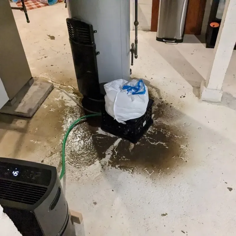 Sewage Backup Cleanup Service in Kane, PA
